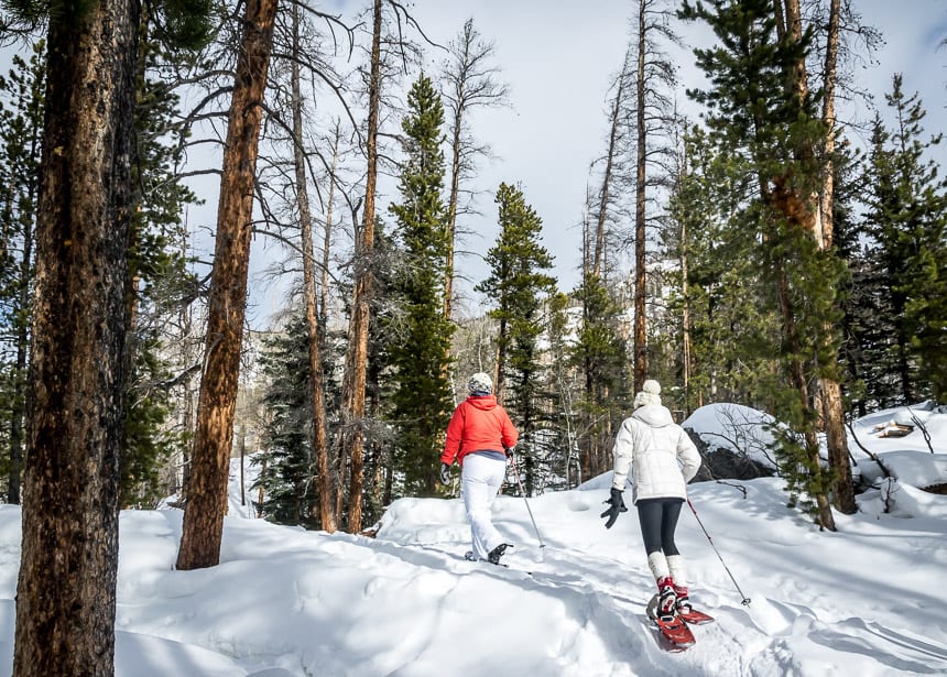 Beautiful snowshoeing near Adams Falls