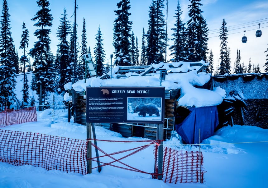 The Beauty of Kicking Horse Mountain Resort in 20 Photos