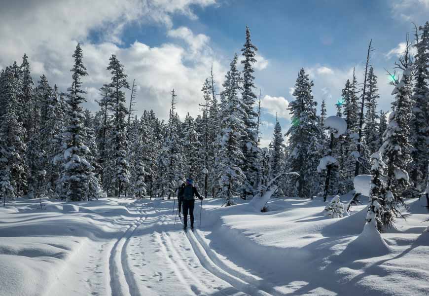 Cross-country skiing the Fairview Trail near Lake Louise