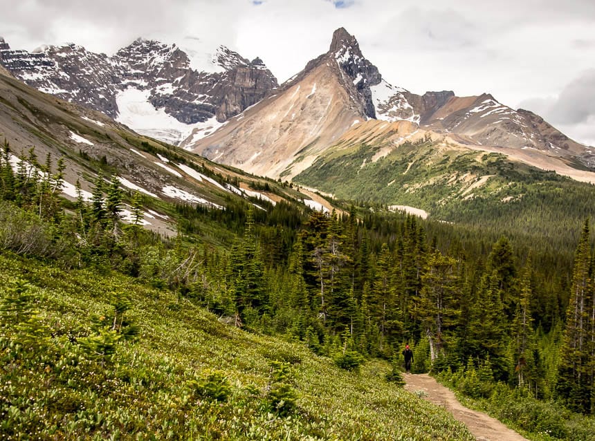 The views are close to instantaneous on the Parker Ridge hike