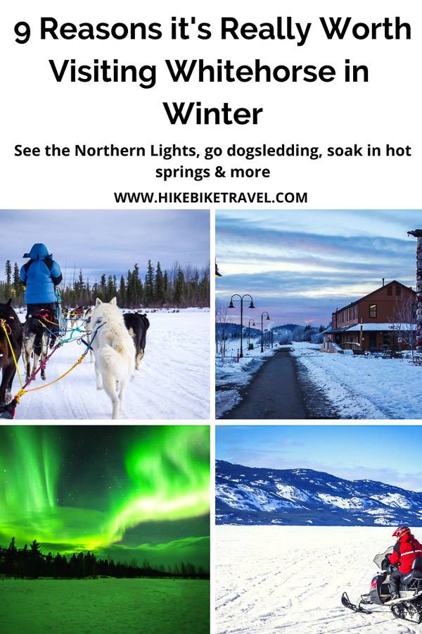 9 reasons its really worth a visit to Whitehorse, Yukon in winter