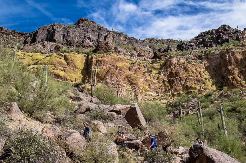 Lovely saguaro views on the way up to the Wind Cave