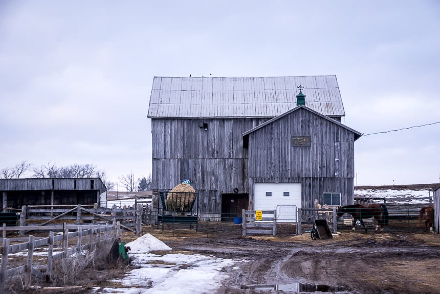  If you like horses you'll want to spend a lot of time at the barn