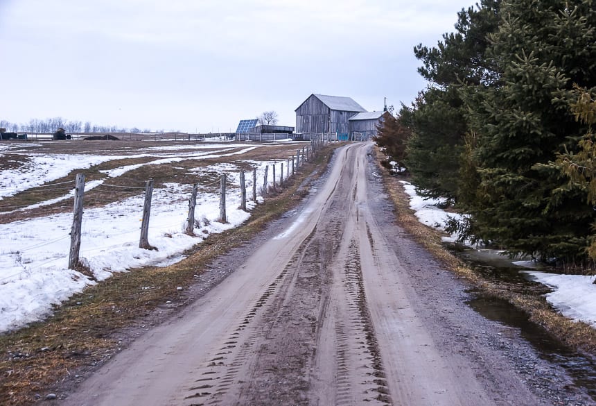  At Elmhirst's Resort you can go horseback riding out of the stables at the top of this road