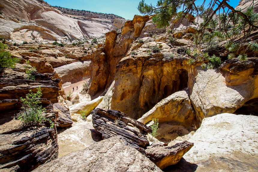 The Capitol Gorge - Tanks hike in Utah's Capitol Reef National Park