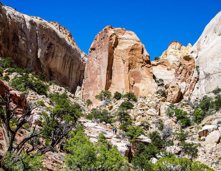 The Golden Throne Hike in Utah's Capitol Reef National Park