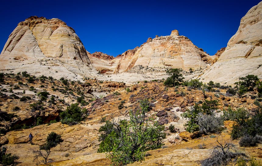 Take lots of water on a hike in this kind of environment