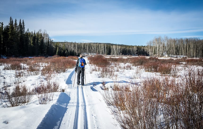 The Jarvis Lake trail takes you through this beautiful meadow