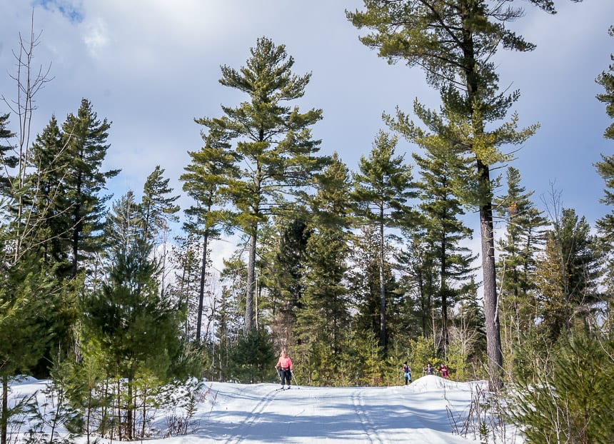 Beautiful cross-country skiing at Kawartha Nordic