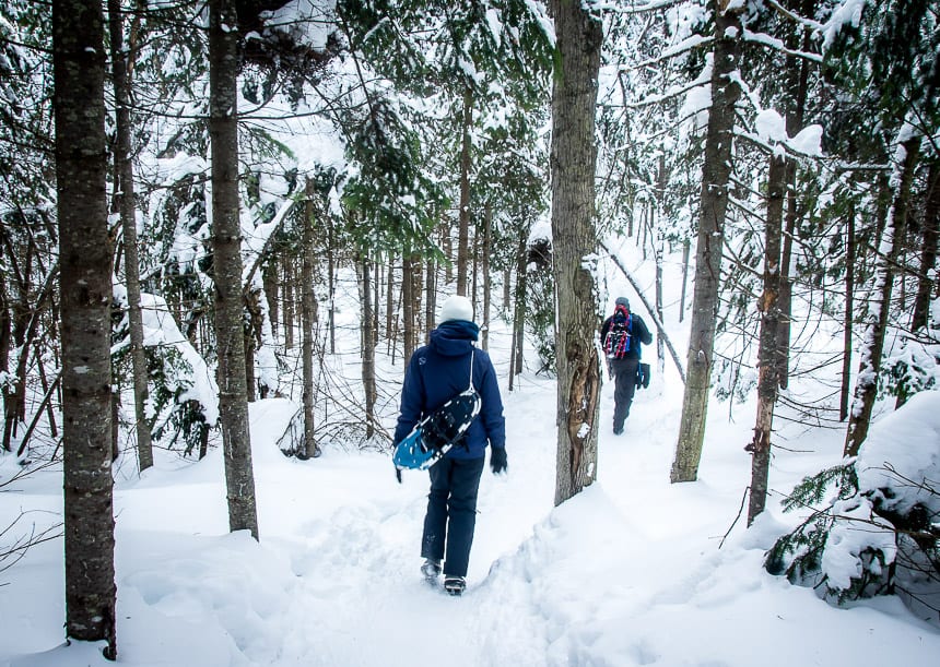 Peace and beauty on the snowshoe trails