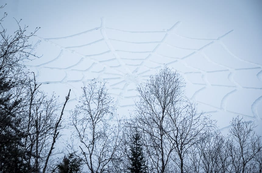 The spiderweb from a height of land