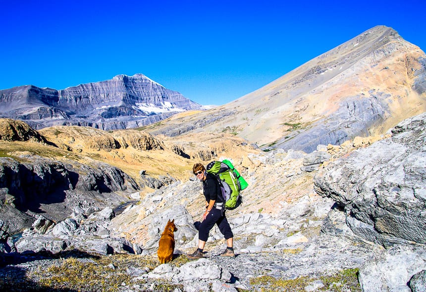 How do You #StandForCanada? My dog and I at home in the mountains - Nigel Pass, Banff National Park
