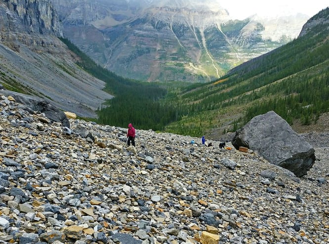  Looking for fossils on the Stanley Glacier hike