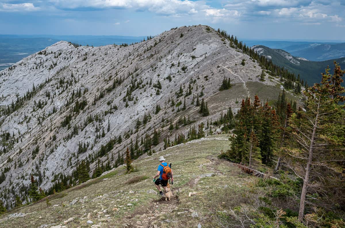 A lovely easy grassy section on the way to the third summit