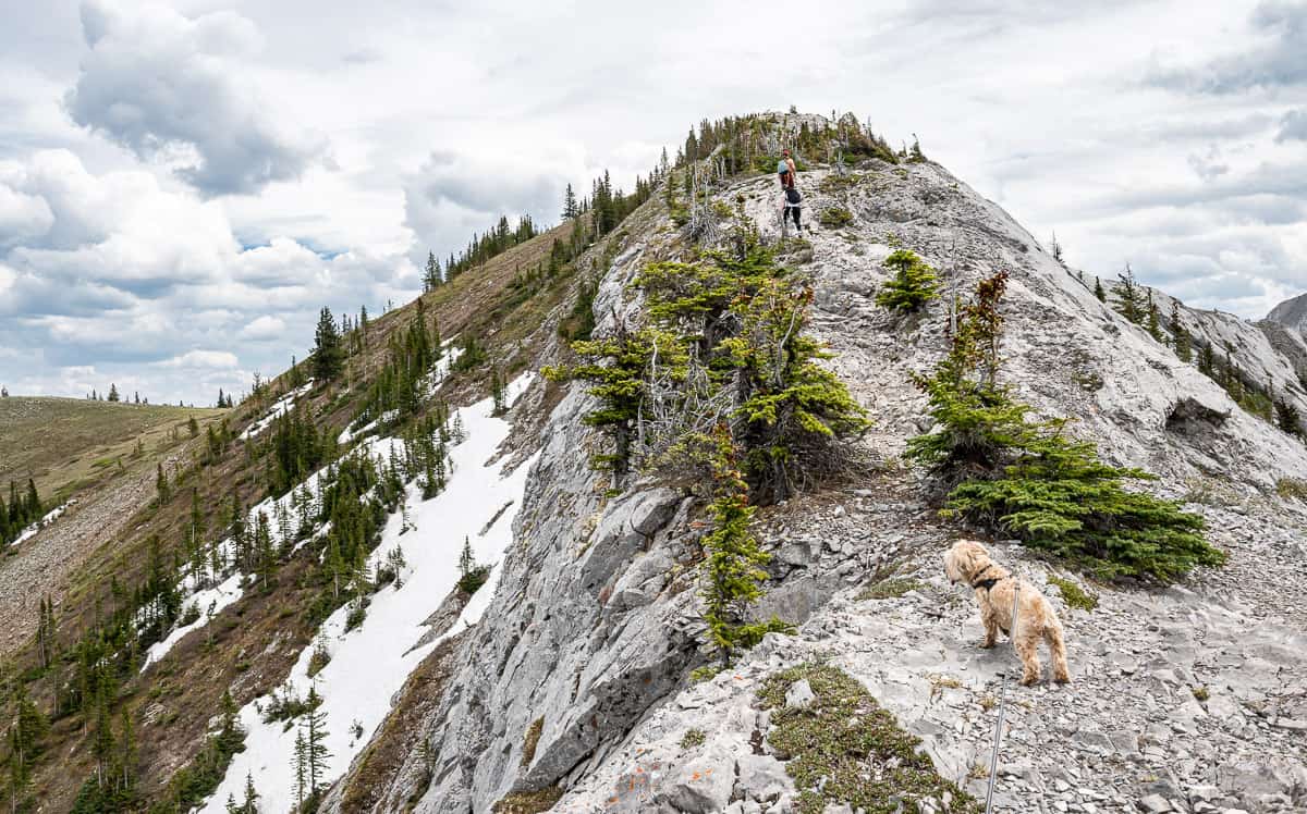 Hiking up Grant MacEwan Peak