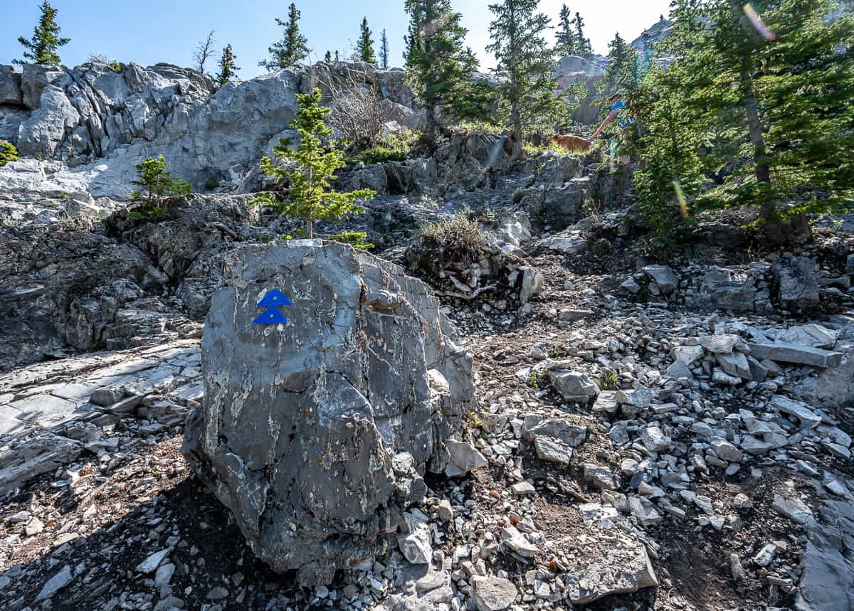 You're near the crux of the Heart Mountain hike when you see the blue markers - look ahead and you'll see one on the rock you have to scramble up