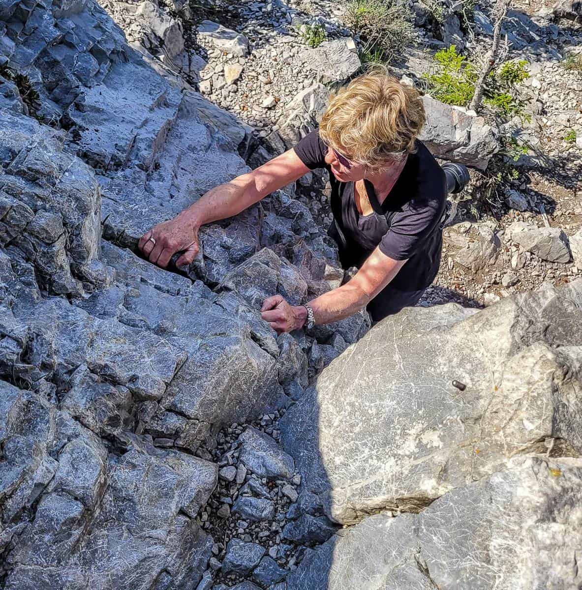 Concentrating on getting up the crux of the hike