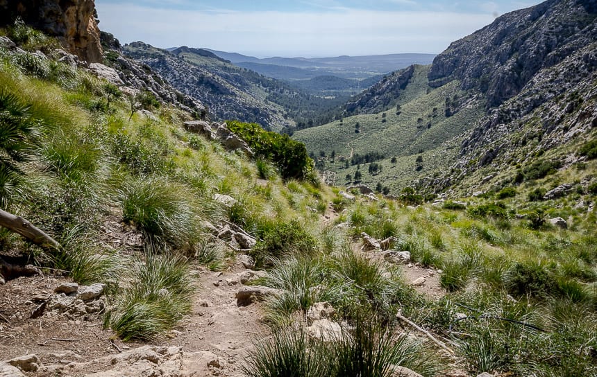 Spectacular hiking on the first day between Es Capdella and Estellencs