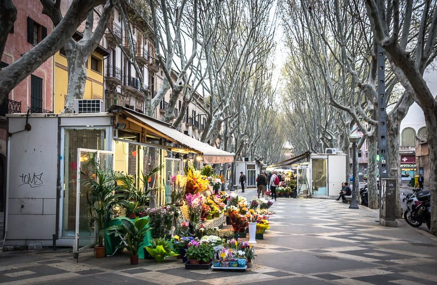 It's feels like you're in Barcelona when you walk Palma's version of La Rambla