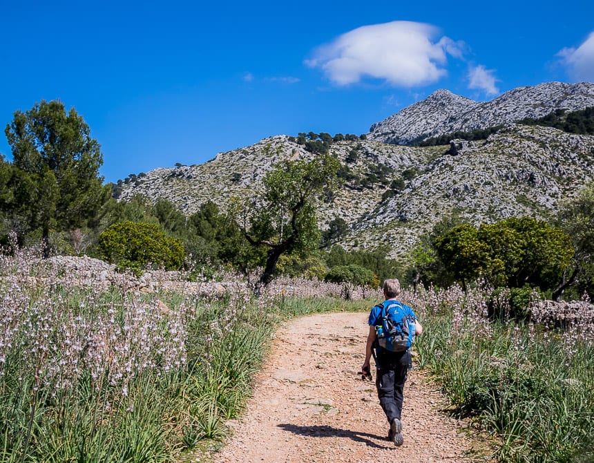 Hiking the GR221 in Mallorca: Es Capdella to Estellencs