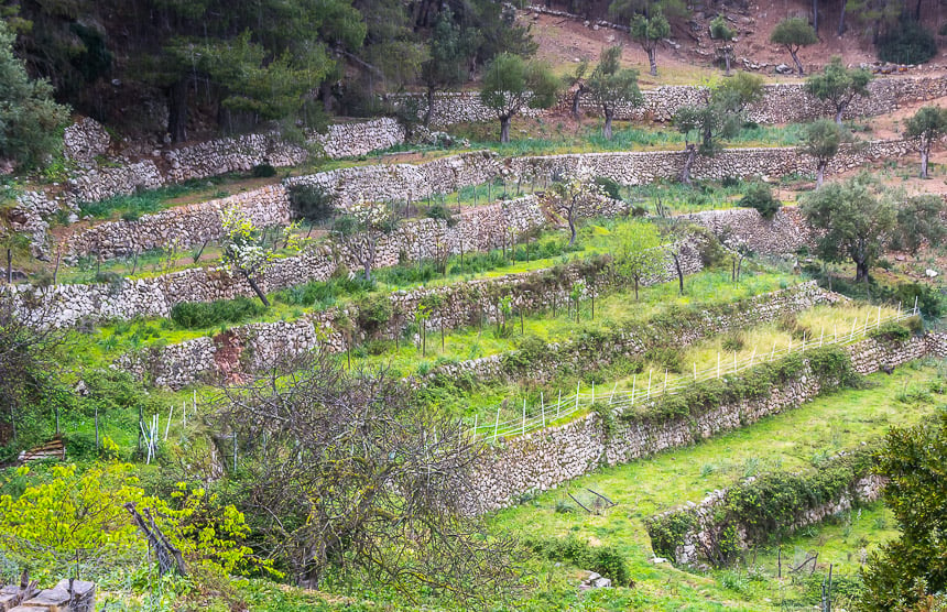 Banyalbufar is famous for its terraced hillside