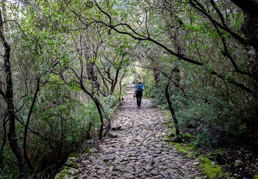 Hiking the GR221: Estellencs to Valldemossa