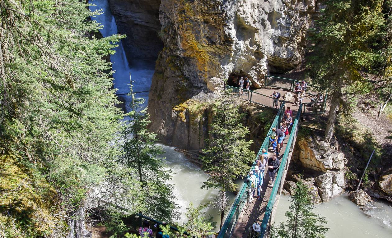 are dogs allowed at johnston canyon