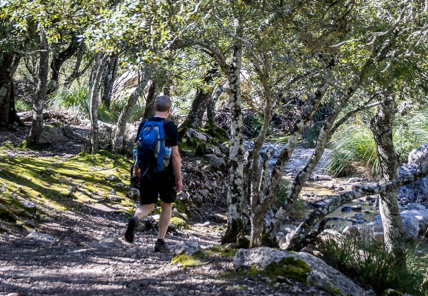 Hiking in Mallorca from Soller to Alaro