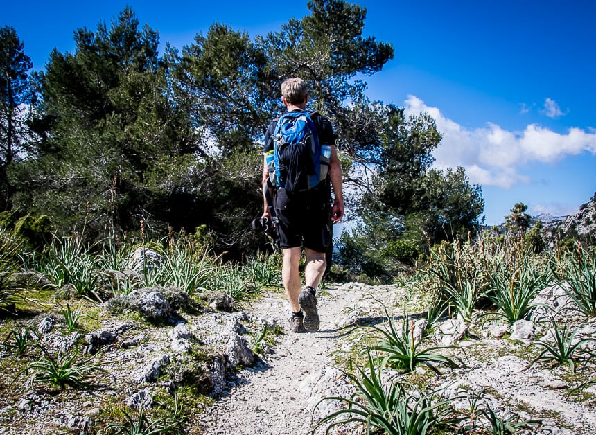 Hiking in Mallorca from Soller to Alaro