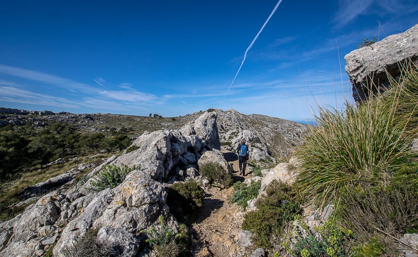 The walking is flat on top: I wanted this part of the hike to go on forever