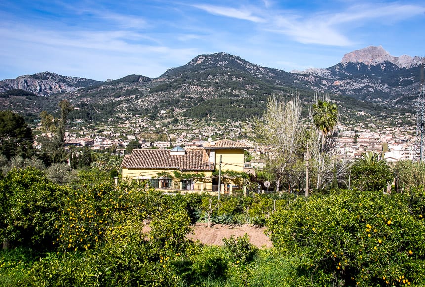 On the way into Soller pass by well-kept homes with lemon and orange trees