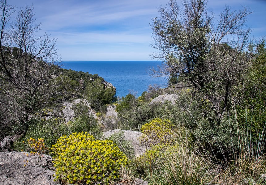 The Best Part of the GR221 Hike: Valldemossa to Soller