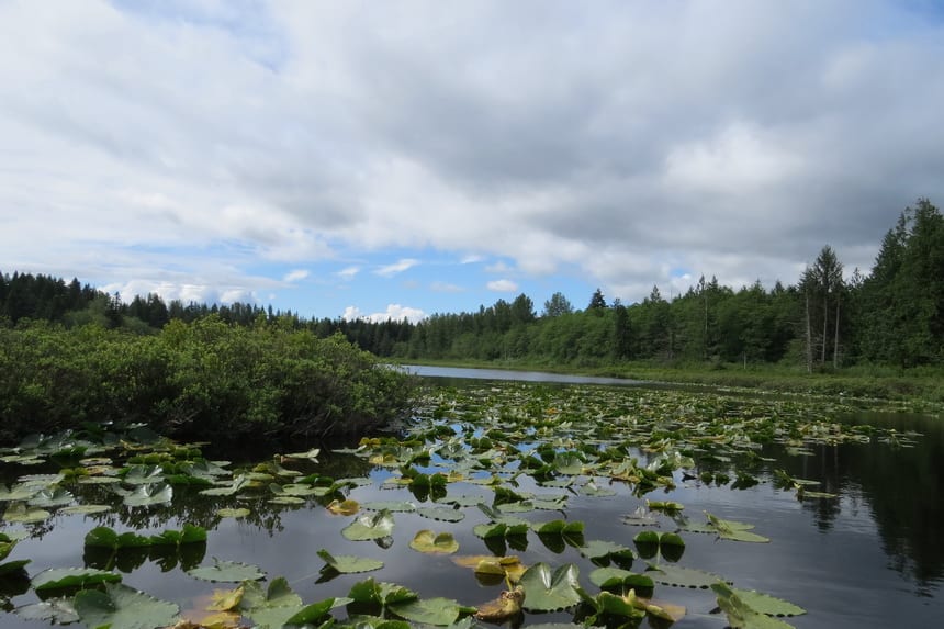 3 of the Best Canoe Routes in British Columbia