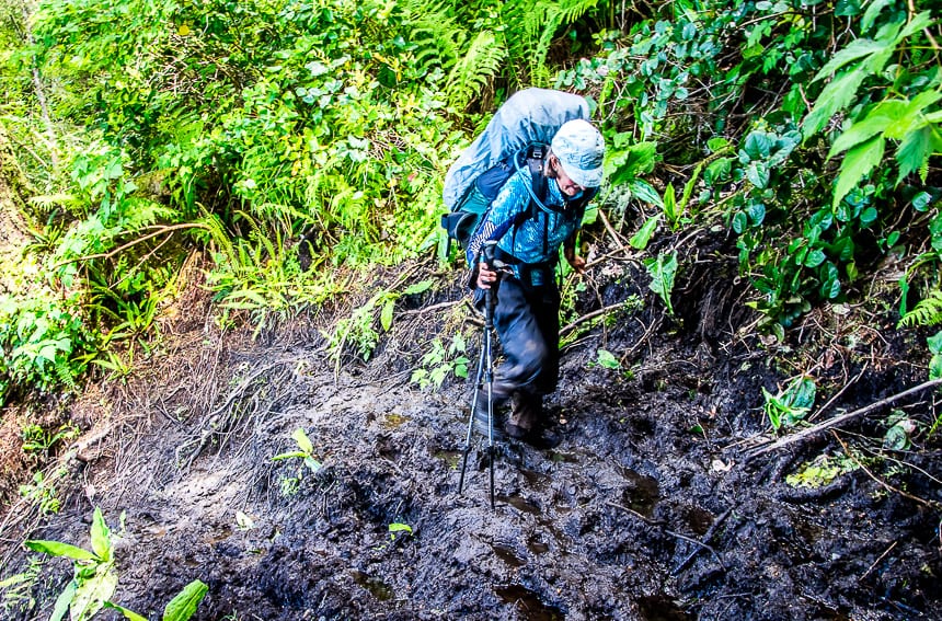 The Juan de Fuca Trail: What You Need to Know Before You Go