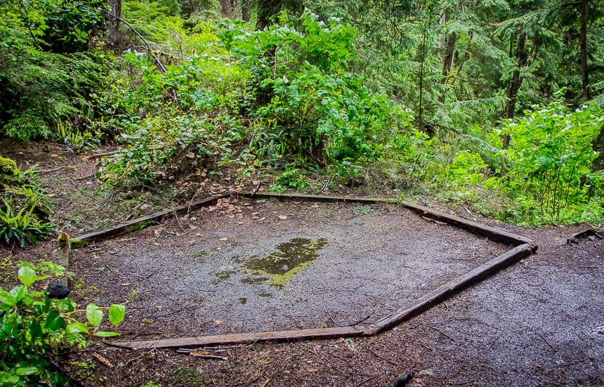 The Juan de Fuca Trail: What You Need to Know Before You Go