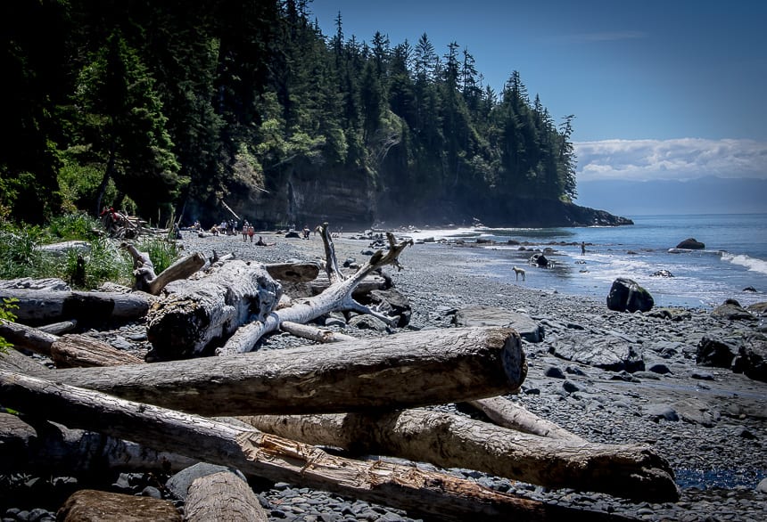 There are plenty of ladders to negotiate on the Juan de Fuca Trail
