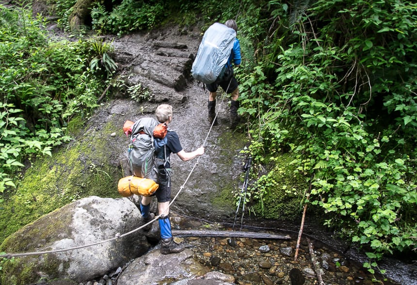 Juan de Fuca Trail Hike What You Need to Know Hike Bike Travel