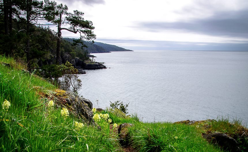 Beautiful scenery on the Coastal Trail in East Sooke Regional Park