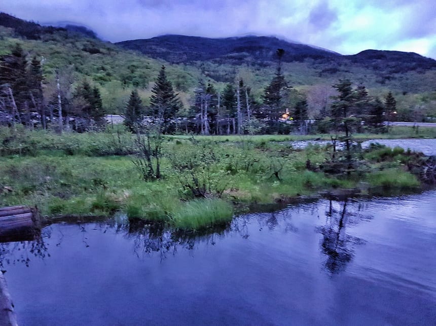 Fading light on the Lost Pond hike in the White Mountains