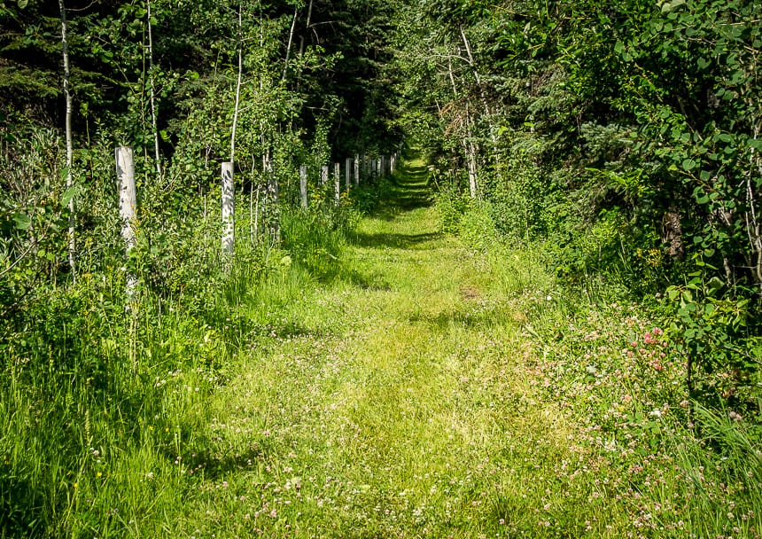 3 Southern Alberta Provincial Parks That Should be on Your Radar