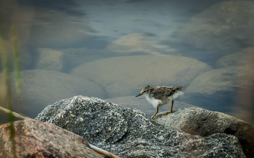 3 Southern Alberta Provincial Parks That Should be on Your Radar