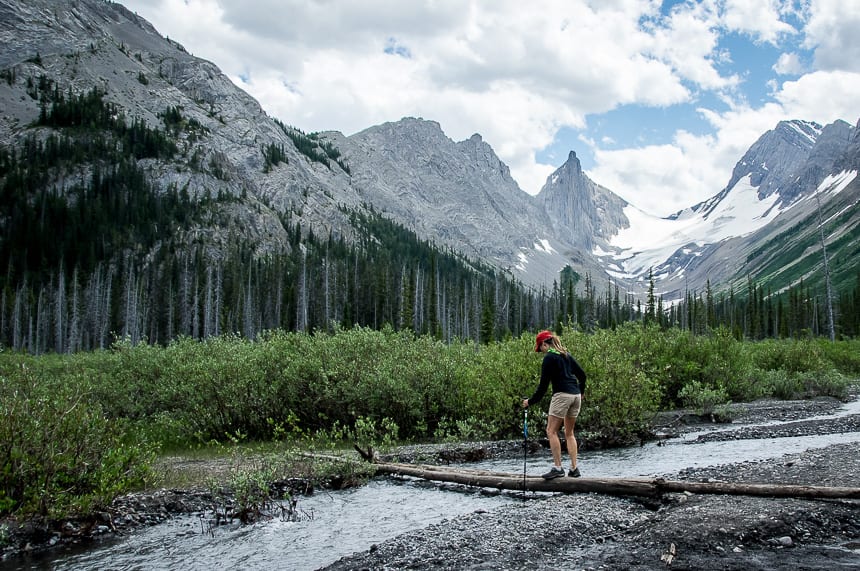 Notice the Robertson Glacier as a backdrop on the Burstall Pass hike