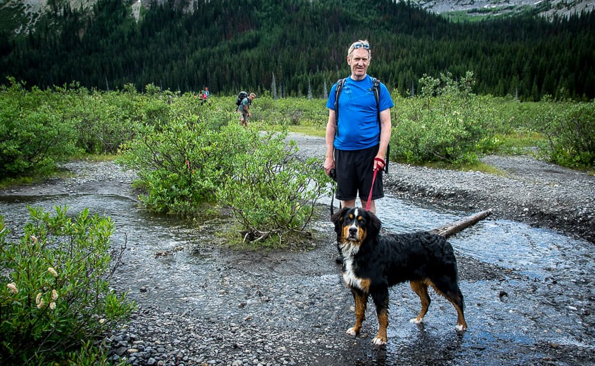  Rosie the 7.5 month old Bernese Mountain dog does her first mountain hike