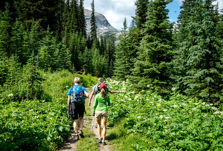 The hike starts off easily on what seems like an old road