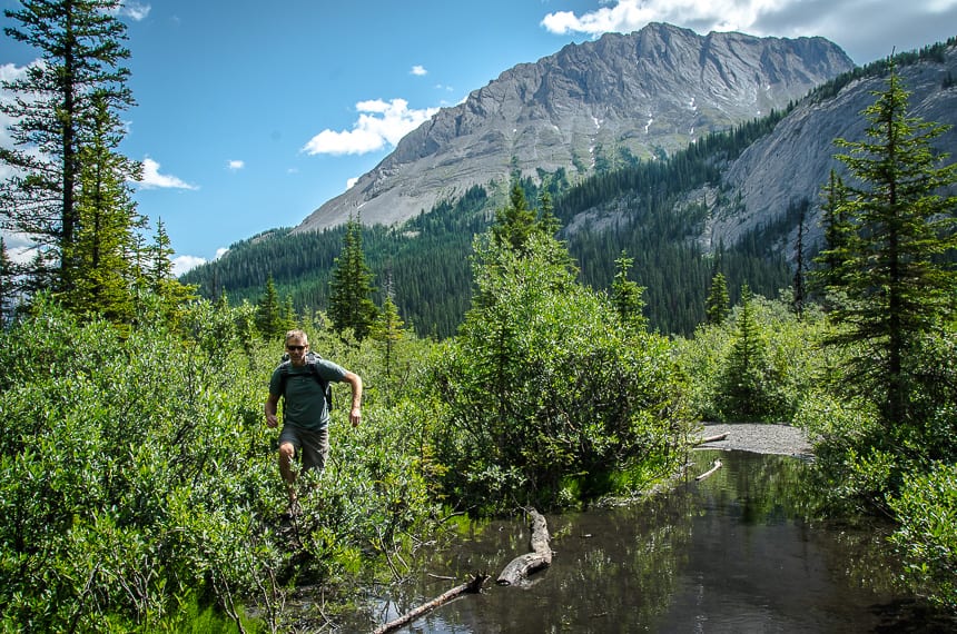 The last bit of water before you're on a dry trail and climbing again