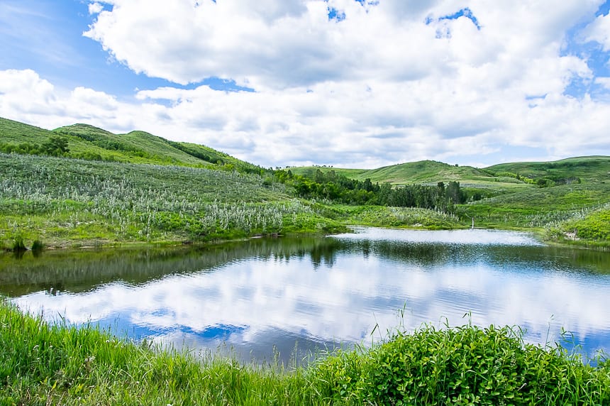  Beauty on a bike ride at Glenbow Ranch