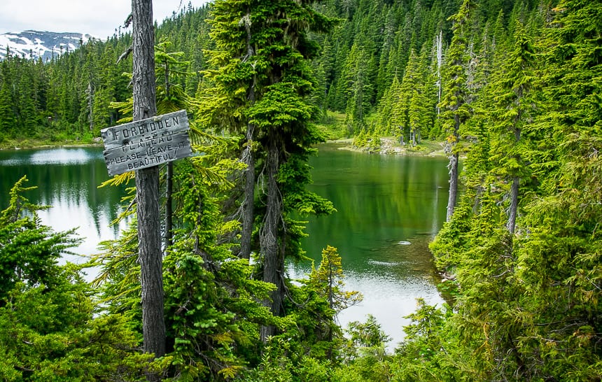 The Kwai Lake Loop Hike in Strathcona Provincial Park