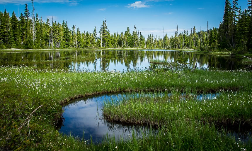 Vancouver Island hikes with particularly lovely around some of the lakes