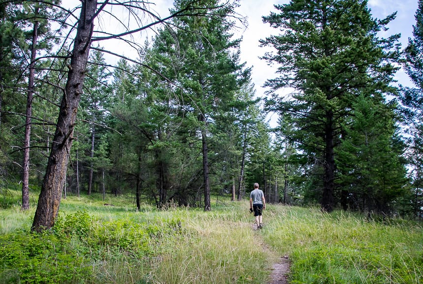 Beautiful hiking in the park with plenty of white-tailed deer to be seen