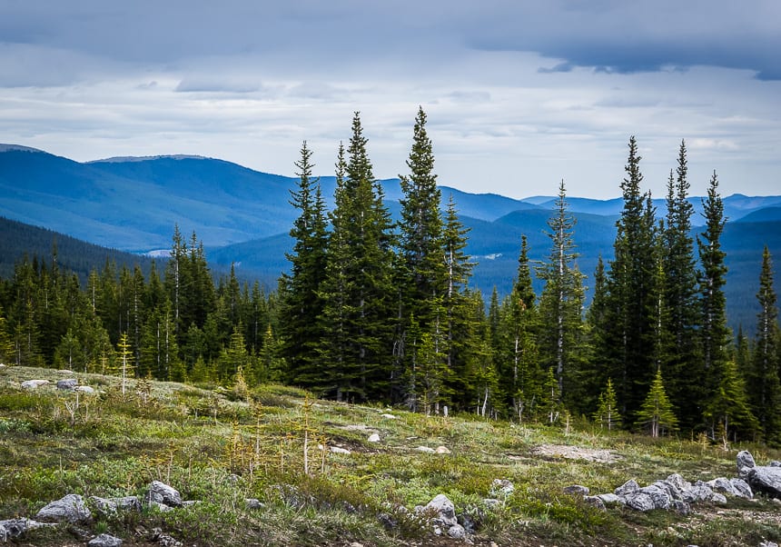 Repeating mountains in Whitehorse Wildland Provincial Park